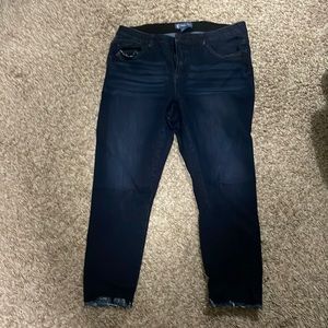 Women’s size 16W jeans | Stitch fix - Democracy | mid-rise